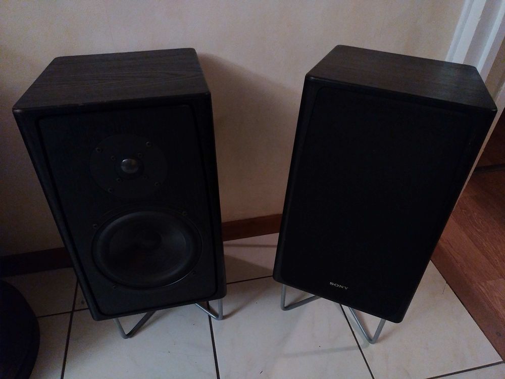 SONY -SS - BB - ES 199 Marckolsheim (67)