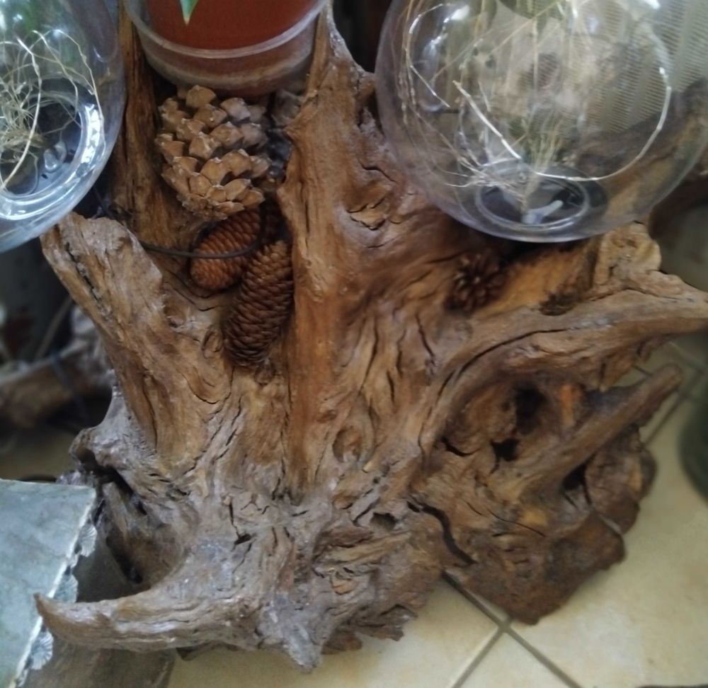 souche+en+bois 100 Belley (01)