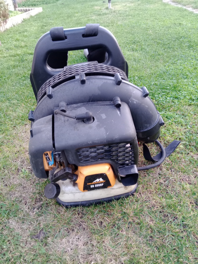 Souffleur thermique McCulloch GB 355BP 250 Saint-Augustin (17)