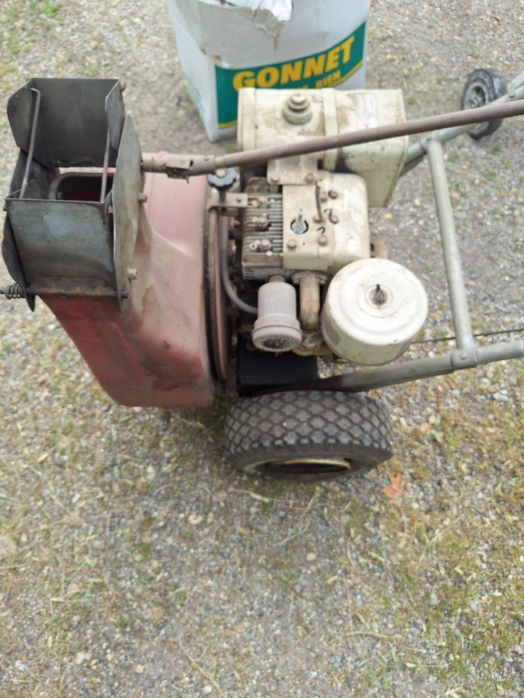 soufleur+a+feuille+increvable 200 V�nissieux (69)