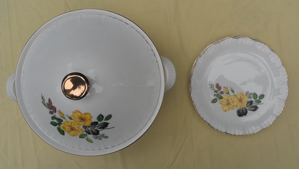 1 soupi�re + 4 assiette blanche fa�ence DIGOIN SARREGUEMINES 22 Castries (34)