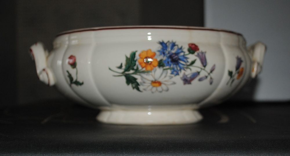 Soupi�re fa�ence Sarreguemines Agreste 0 Saint-Pierre-de-B�uf (42)