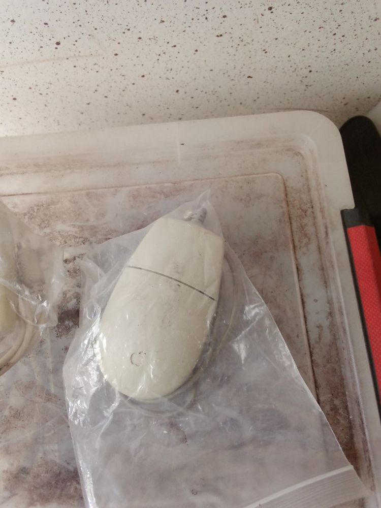 souris Apple  apple mouse II   adb moderne 32 Lampertheim (67)