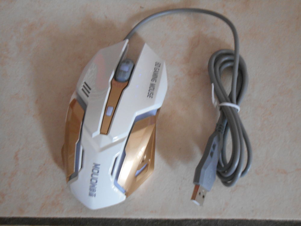 SOURIS CONSOLE 25 Chevigny-Saint-Sauveur (21)