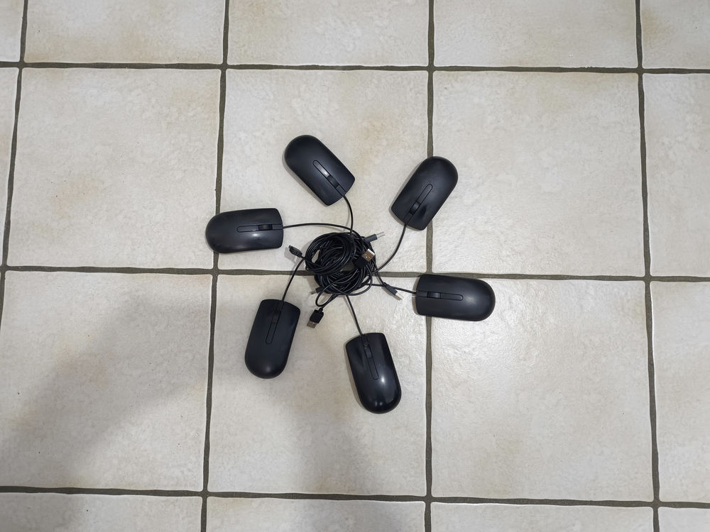 Lot 6 souris Dell tr�s bon �tat 30 Vienne (38)