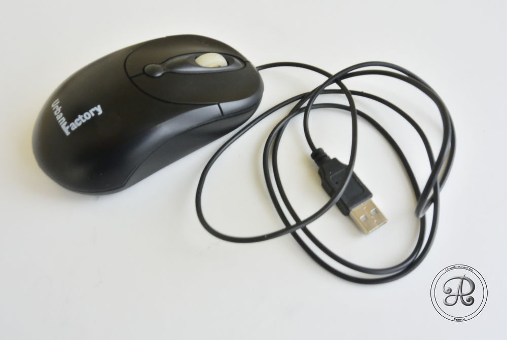 Souris informatique 3 Castelnaudary (11)