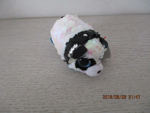 Souris 10 Castres (81)