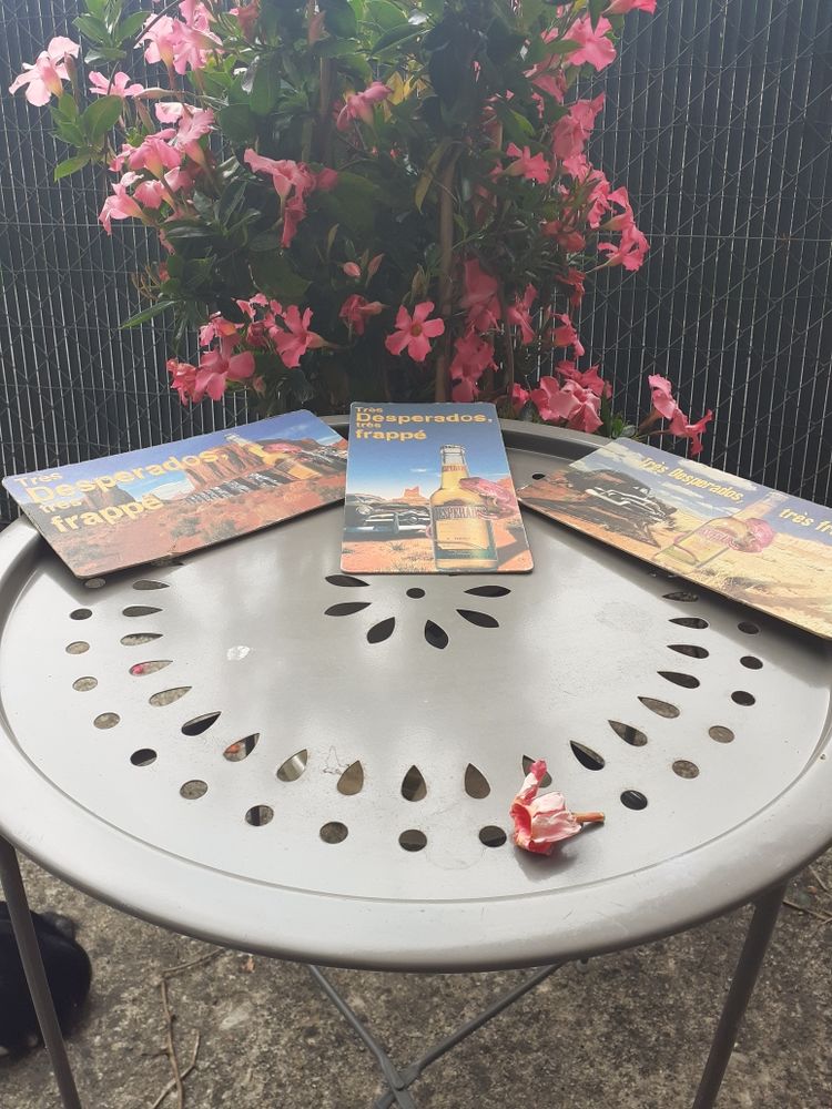 sous  bock 12 Merpins (16)