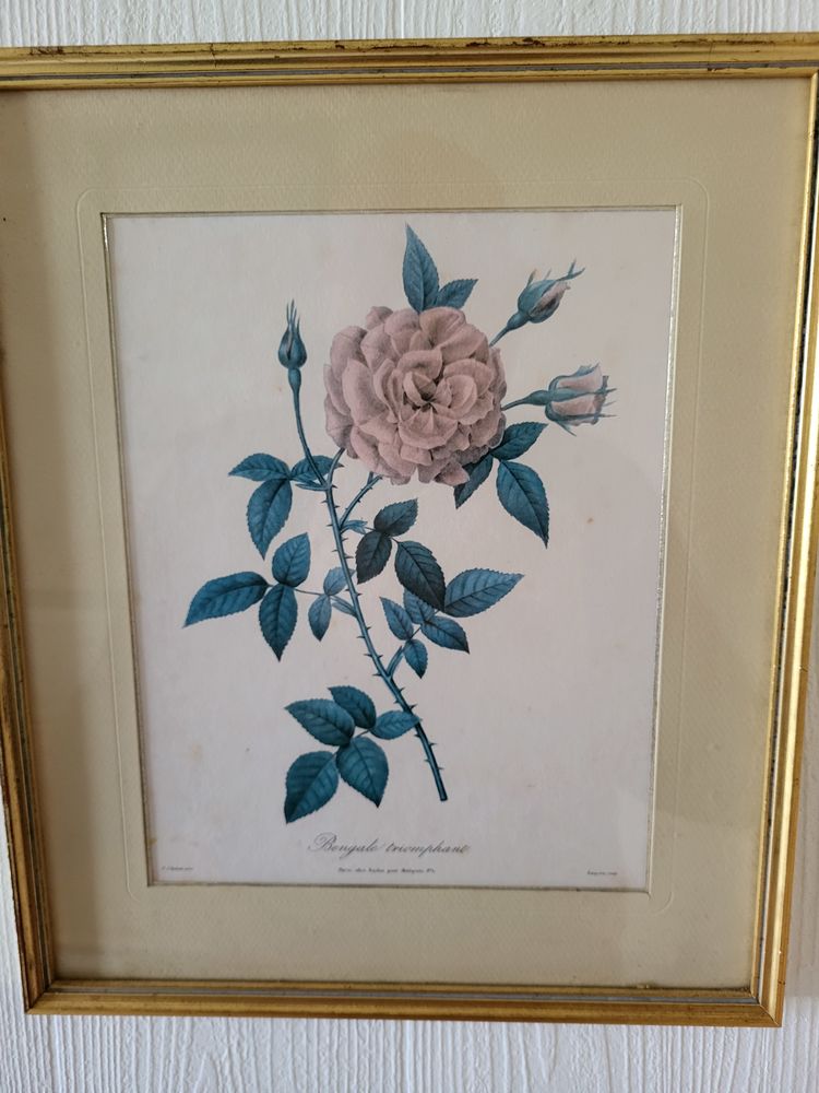 Sous-verre : dessins de fleurs. 15 Brest (29)