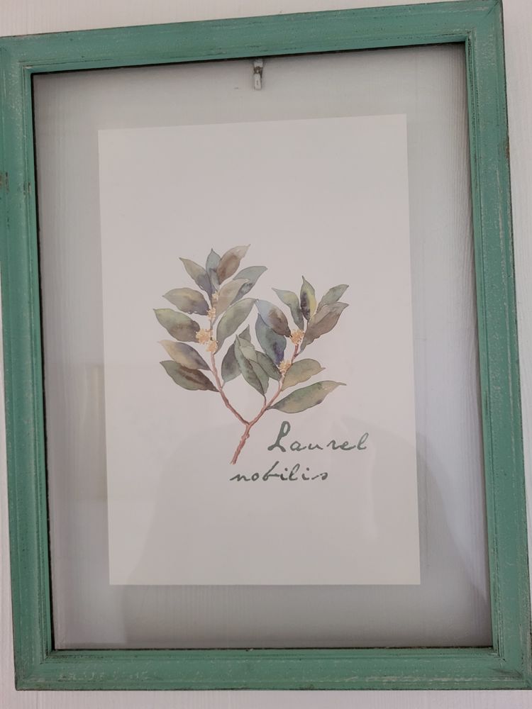 Sous-verre : trois fleurs. 15 Brest (29)