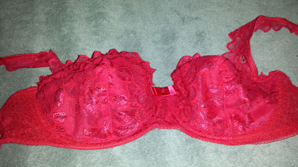 N� 378 SOUTIEN-GORGE ROUGE 4 Triel-sur-Seine (78)