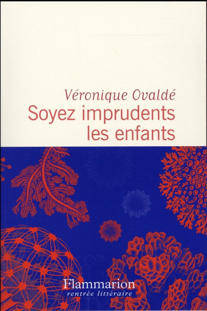 Soyez imprudents les enfants 4 Sceau-Saint-Angel (24)