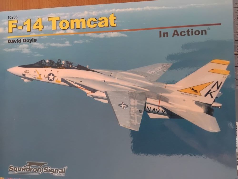SQUADRON SIGNAL F-14 TOMCAT IN ACTION N�10206 15 Avignon (84)