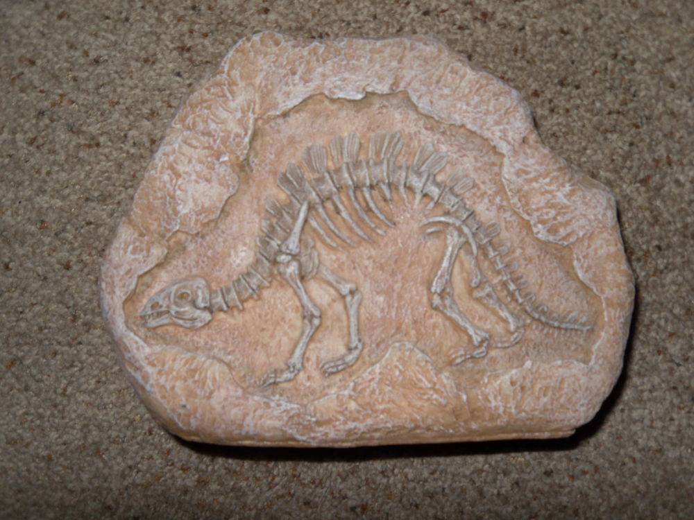 Squelette Dinosaure 21cm fausse pierre, Parfait Etat 12 Neuville-de-Poitou (86)