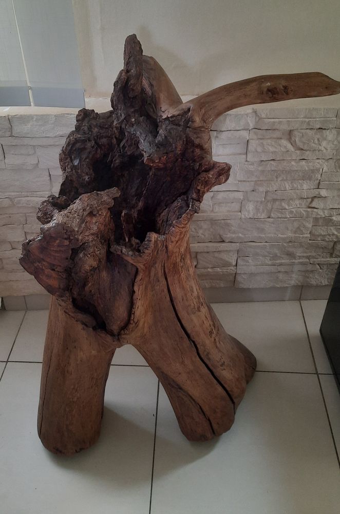 STATUE DESIGN MAGNIFIQUE 120 Montry (77)