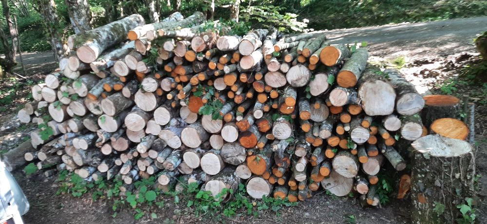 5 st�res de bois de chauffage 45 Aubigny-sur-N�re (18)