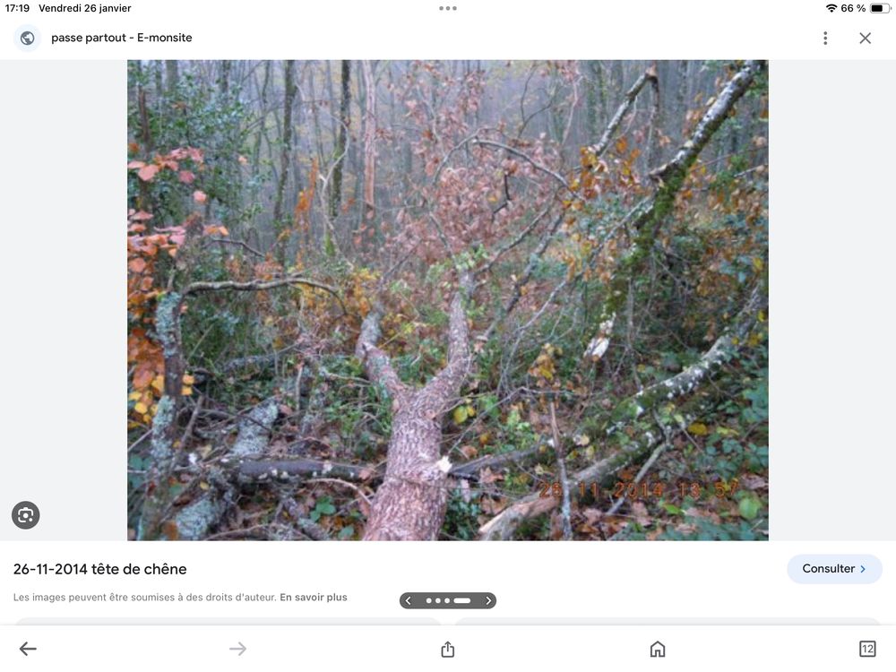 st�res de bois � exploiter 15 Saint-R�my-en-Rollat (03)