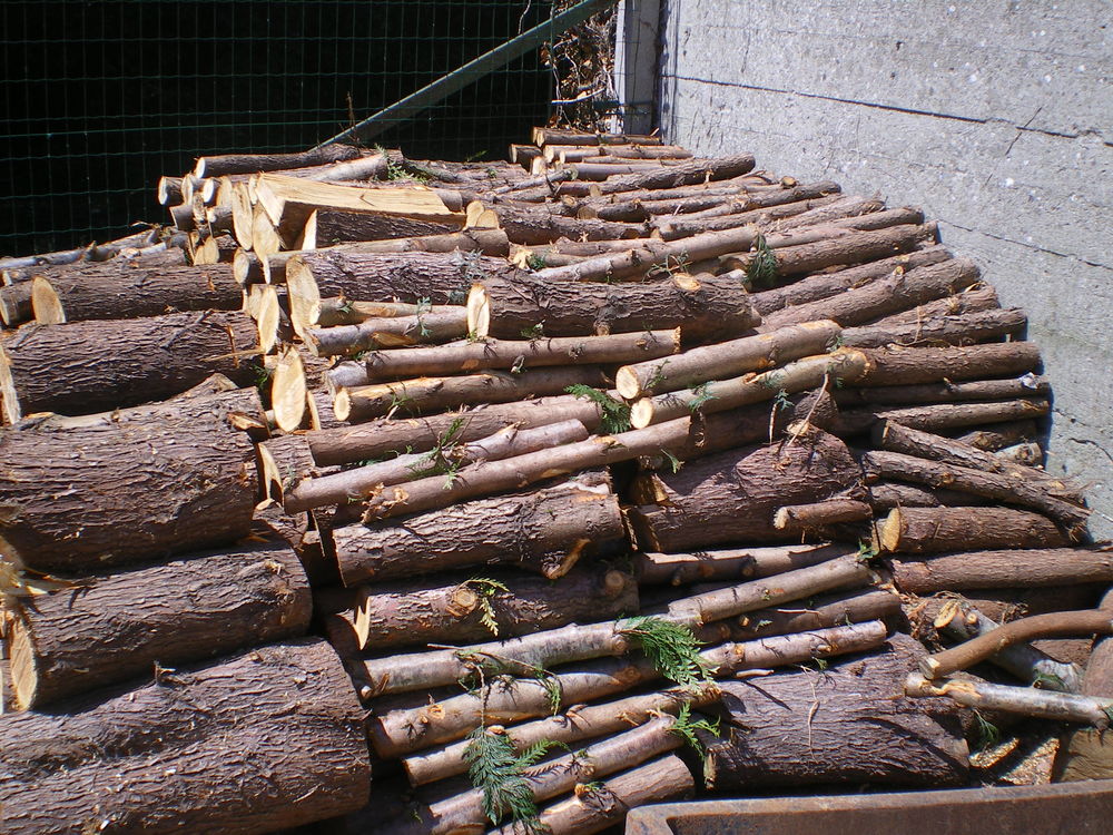 stères de bois  20 Bapaume (62)