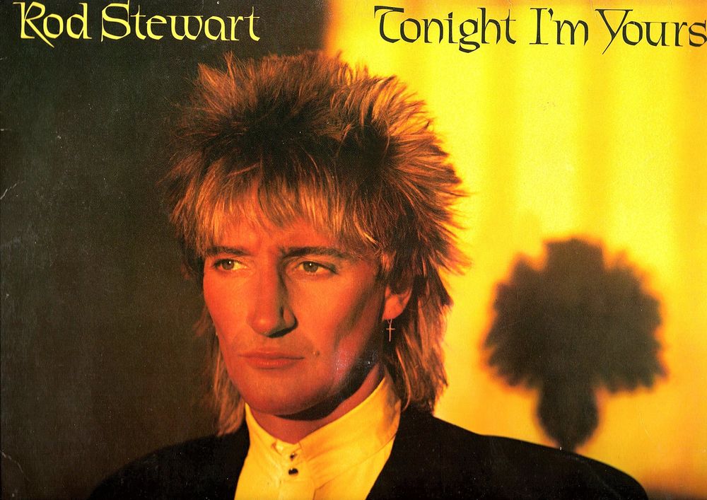 Rod STEWART  33 tours LES TITRES  SONT EN PHOTO 5 Pontoise (95)