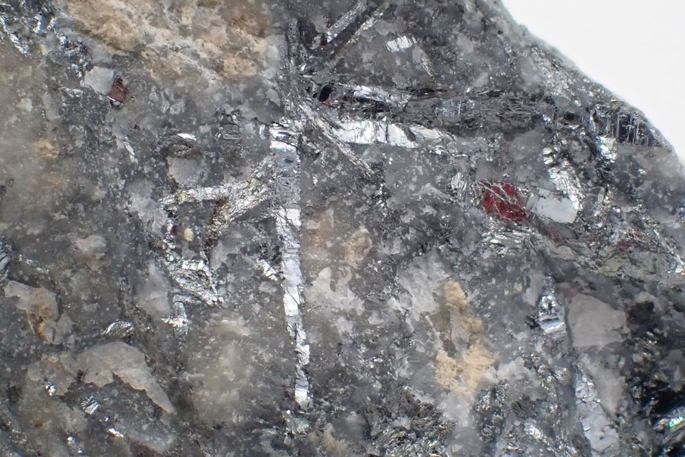 Stibine , Ty Gardien , Quimper , Finist�re , Bretagne , Fran 25 Bertrichamps (54)