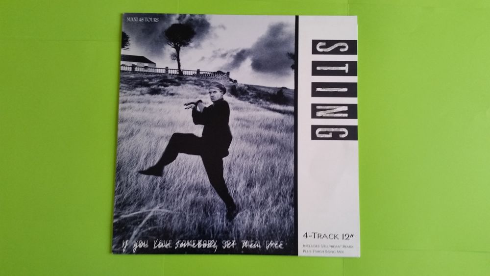 STING 0 Toulouse (31)