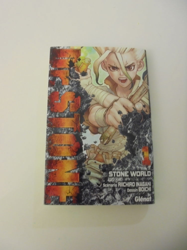 Dr Stone - 1 Stone World (107) 3 Tours (37)