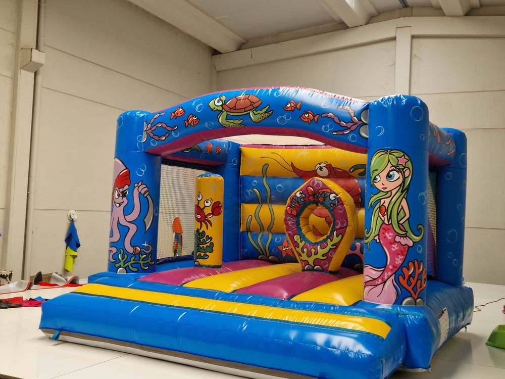 Structure gonflable pro avec moteur et certification 1650 Mont�limar (26)