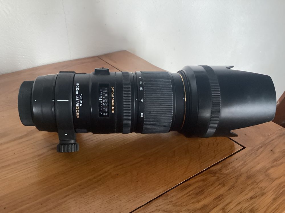 studio photos 800 Fontaine-Denis-Nuisy (51)