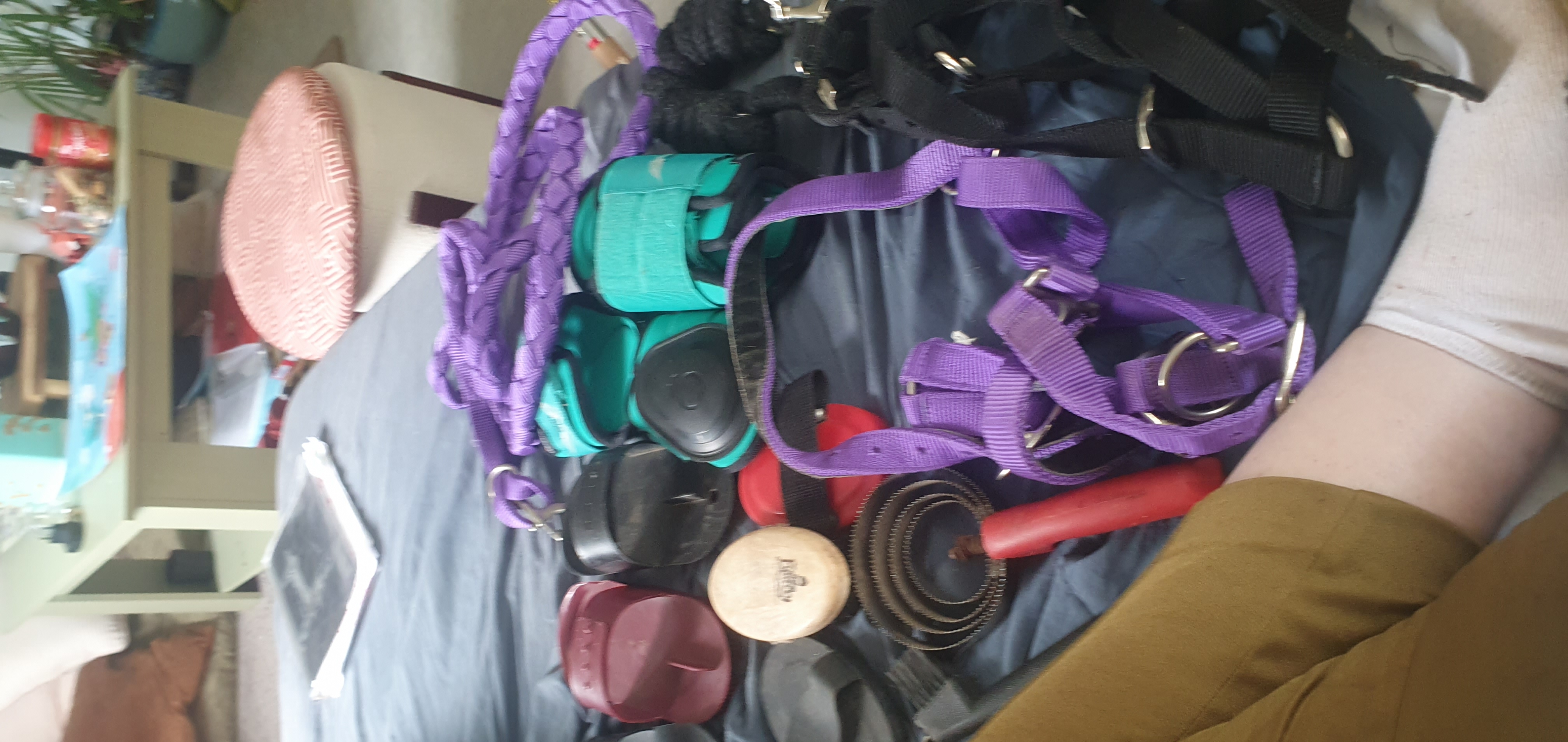 Je suis Audrey Invalide mes affaires �quitation 20 Dax (40)