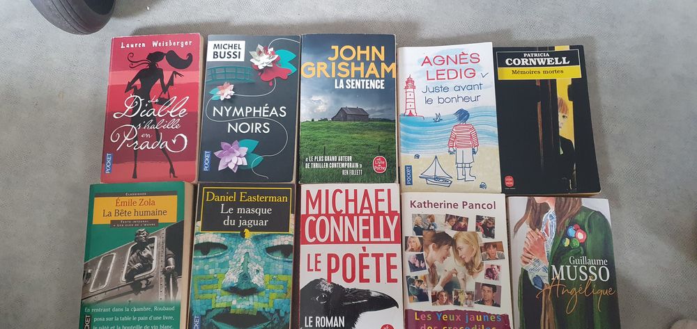 Je suis Audrey Invalide mes livres adultes 4eur 4 Dax (40)