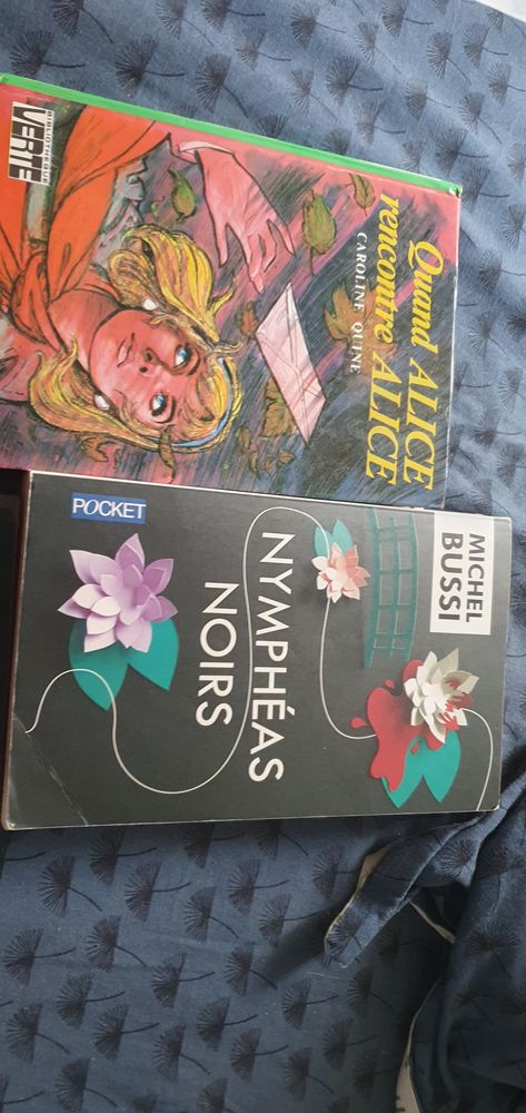 Je suis Audrey Invalide mes livres adultes 4e 4 Dax (40)