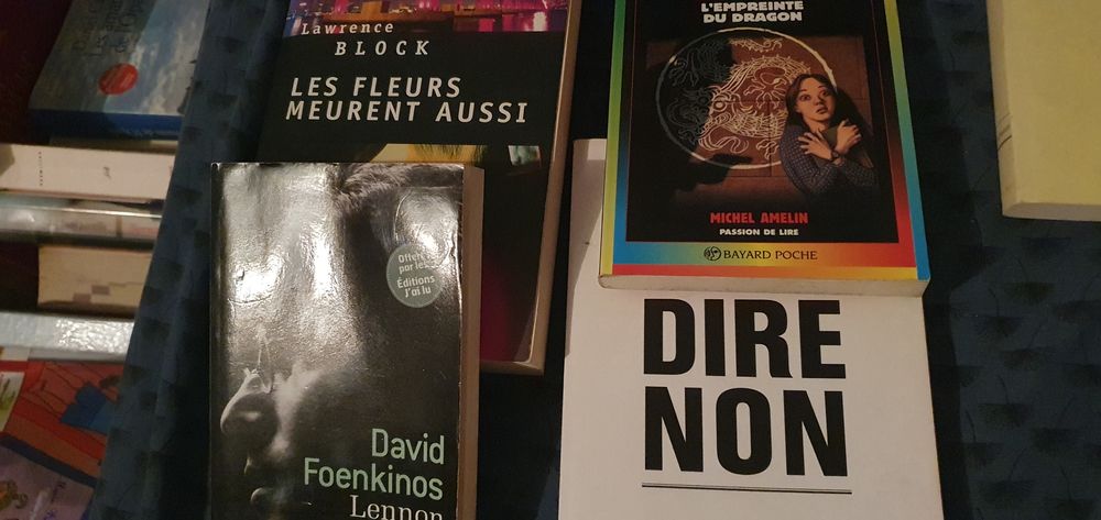Je suis Audrey Invalide mes livres adultes 4eu 4 Dax (40)