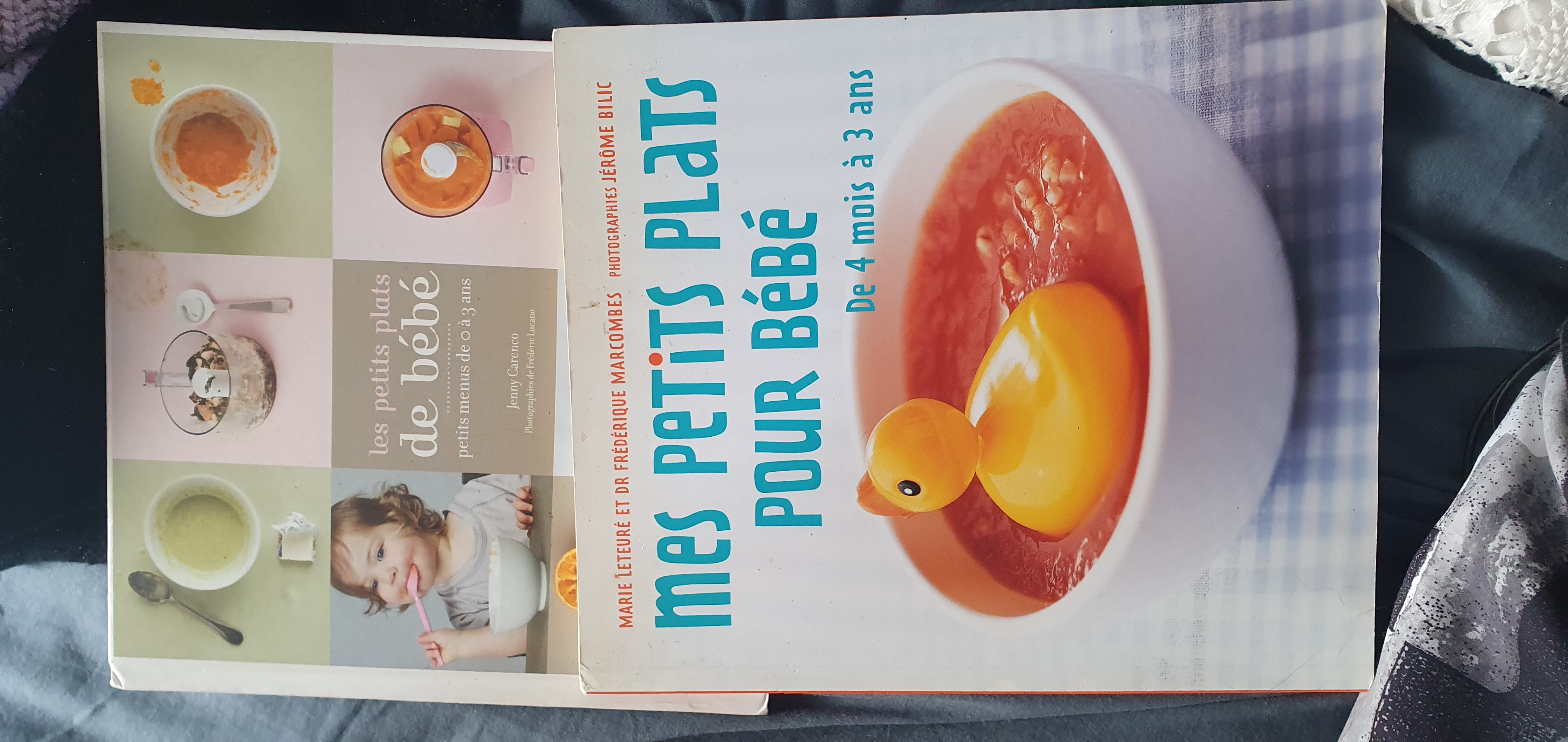 Je suis Audrey Invalide je mes livres enfants sur ce 4e 4 Dax (40)