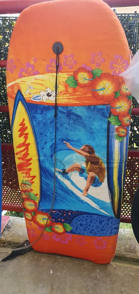 Je suis Audrey Invalide mes planche surf �2 35 Dax (40)