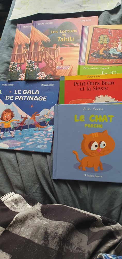 Je suis Audrey Invalide mes livres enfants4e 4 Dax (40)
