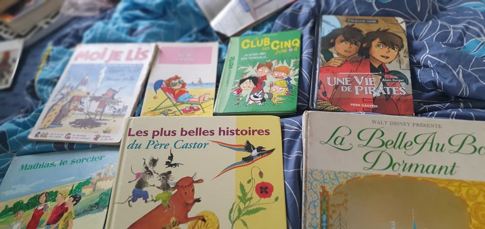 Je suis Audrey Invalide mes livres enfants 4e 4 Dax (40)