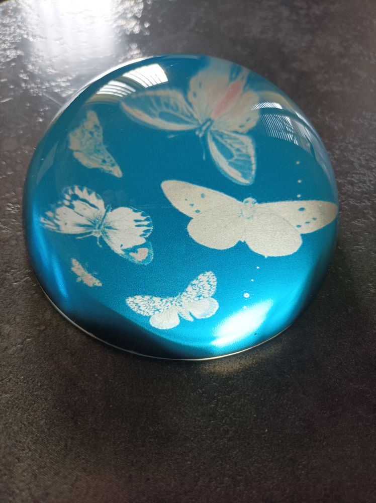 Sulfure ou presse papier 14 Saint-Amant-Tallende (63)