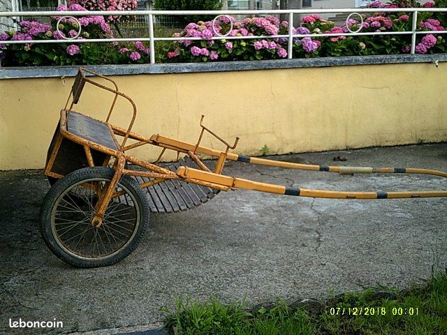 Sunky 300 Ch�tillon-sur-Thouet (79)