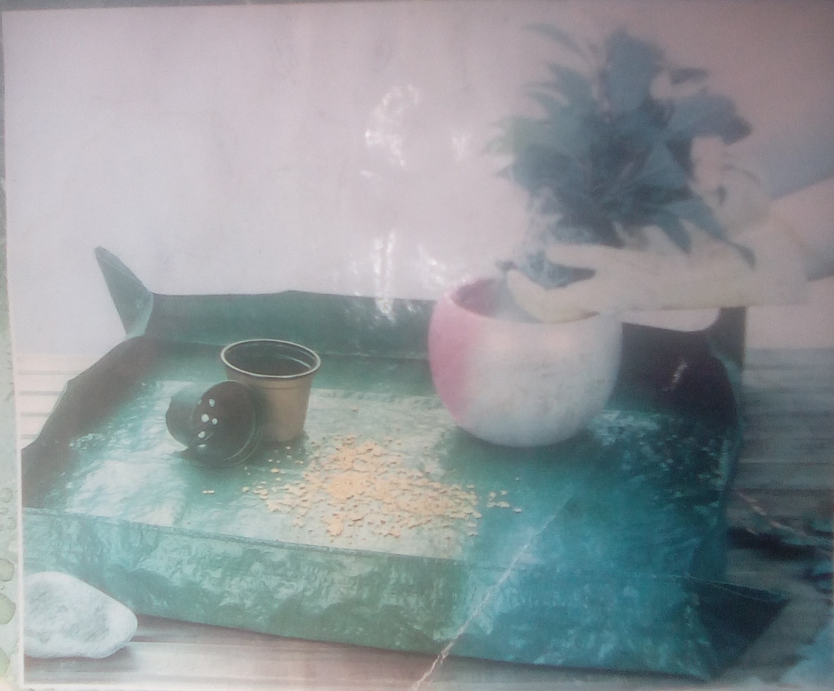 support de rempotage 3 Beauchamp (95)