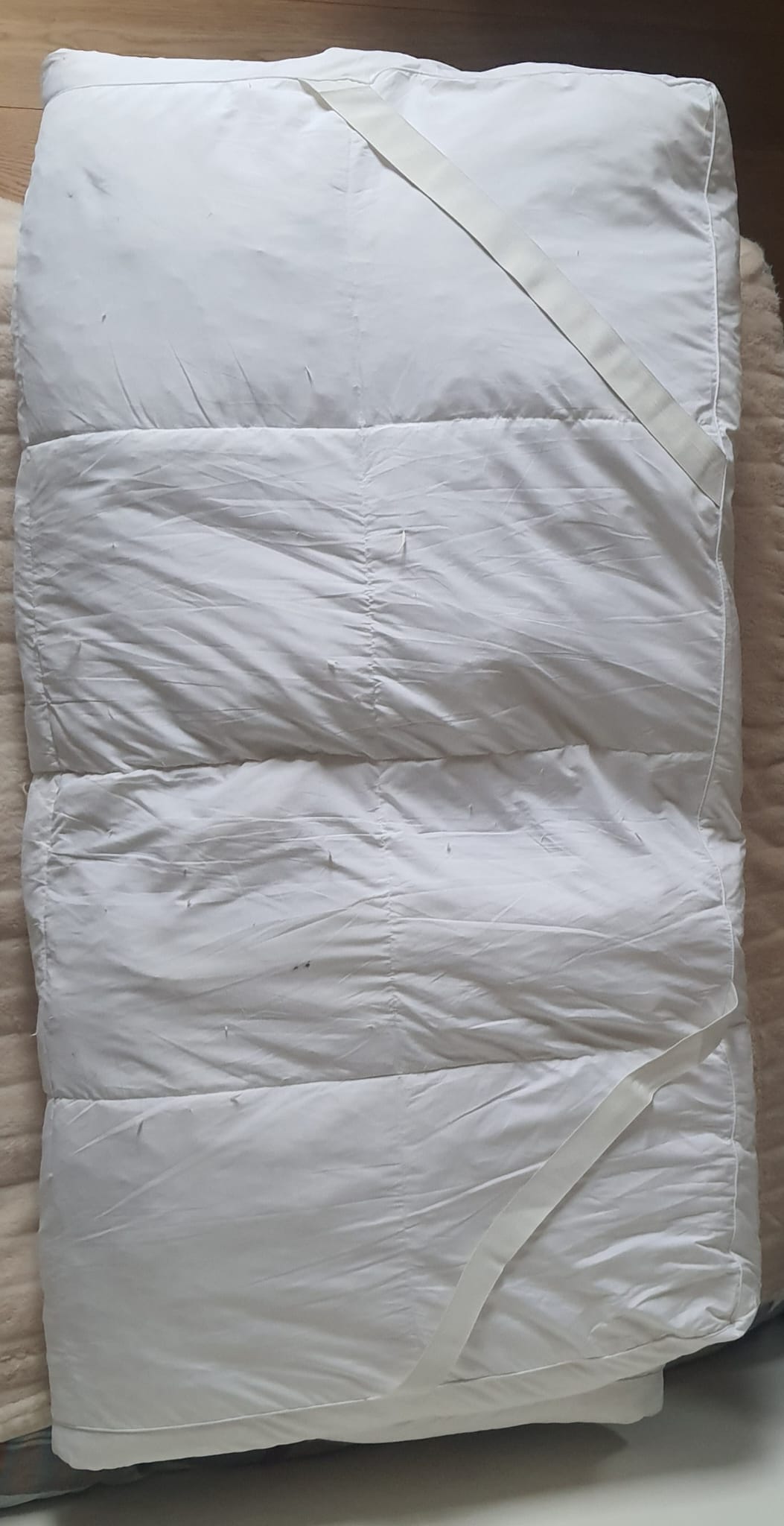 SURMATELAS PLUMES ET DUVETS D'OIE : 120X190 cm avec Sangles 50 Fontenay-aux-Roses (92)