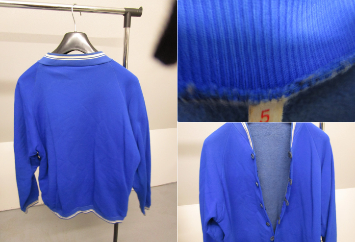 Survet 15 La Roche-Derrien (22)