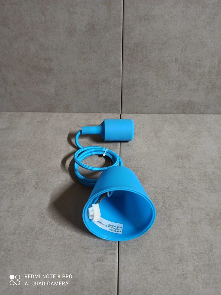 Suspension filaire bleue 10 Bourg-Blanc (29)