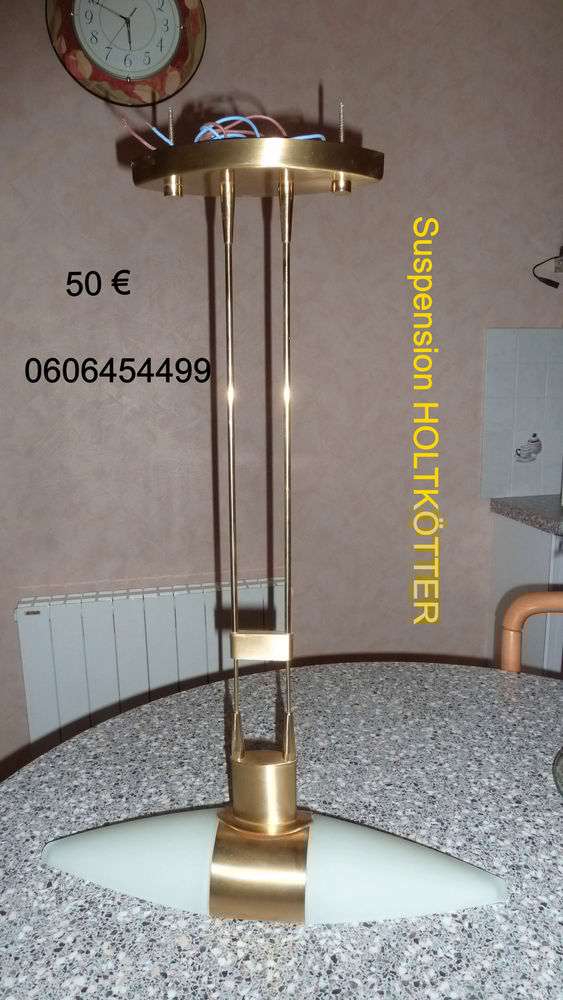 SUSPENSION HOLTKOTTER 50 Mauves-sur-Loire (44)