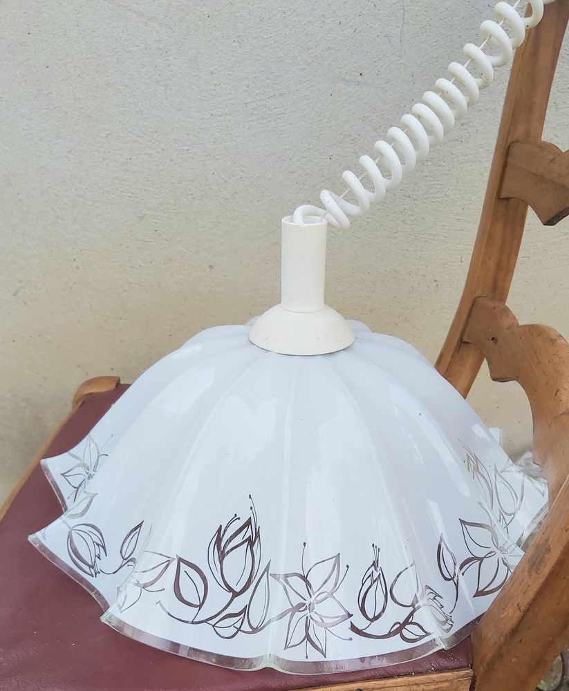 suspension lustre 20 Saint-Denis-l�s-Bourg (01)