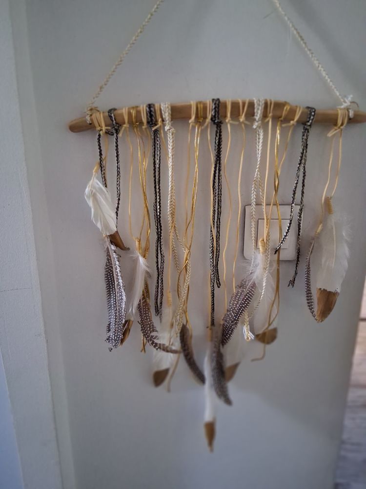 Suspension Plumes 10 Toulon (83)