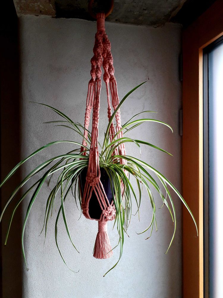 Suspension pour plante 20 Saulcy-sur-Meurthe (88)