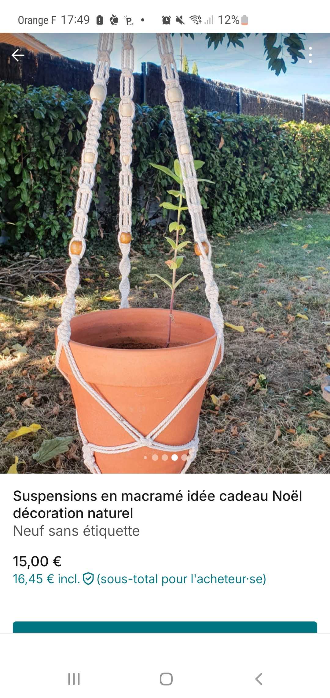 suspensions plantes en macram� 15 Loupiac (33)