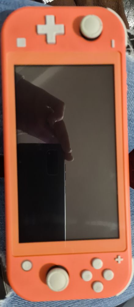 Switch lite Corail 120 Millau (12)