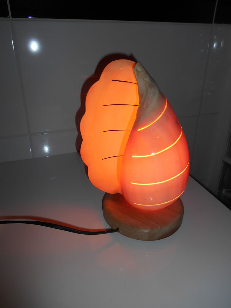 Sympathique lampe coquillage 60 Paris 19 (75)