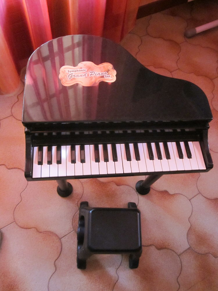 Symphonie Grand Piano Set 25 Bessi�res (31)